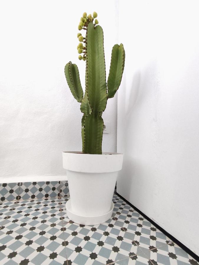 Jimaral Appartement Vejer de la Frontera Buitenkant foto