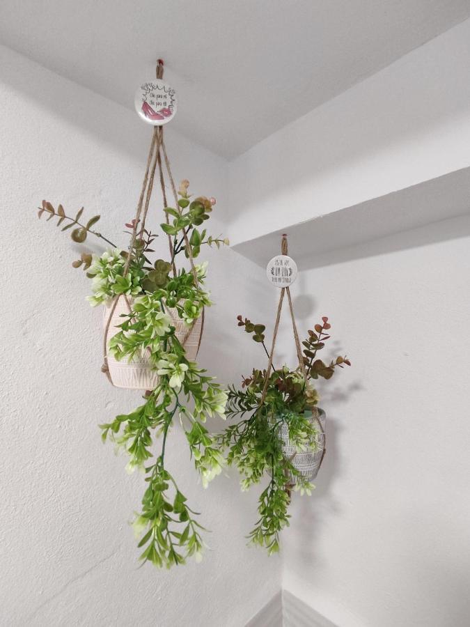 Jimaral Appartement Vejer de la Frontera Buitenkant foto